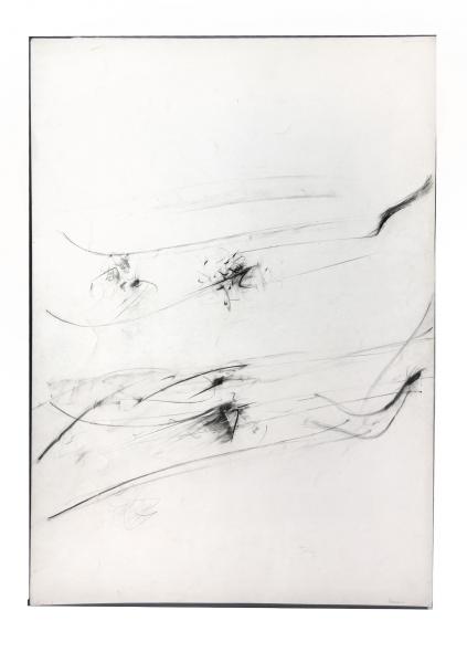 Guido Strazza (Santa Fiora (Grosseto) 1922), Metamorfosi, 1960, grafite e matita grassa su carta, 701 x 498 mm, collezione dell’artista. Foto Sergio Pucci. Courtesy Guido Strazza
